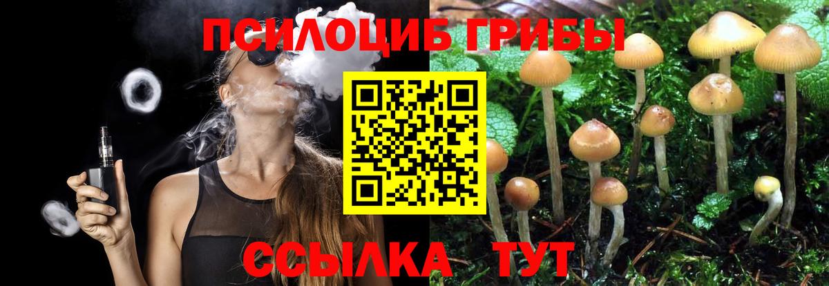 Кулебаки  Галлюциногенные грибы Psilocybe  Вход с VPN 